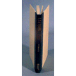 06401: 1,2,3 John - NIV Commentary:  College Press