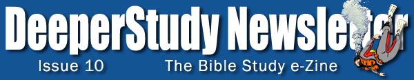 dsn_logo10
