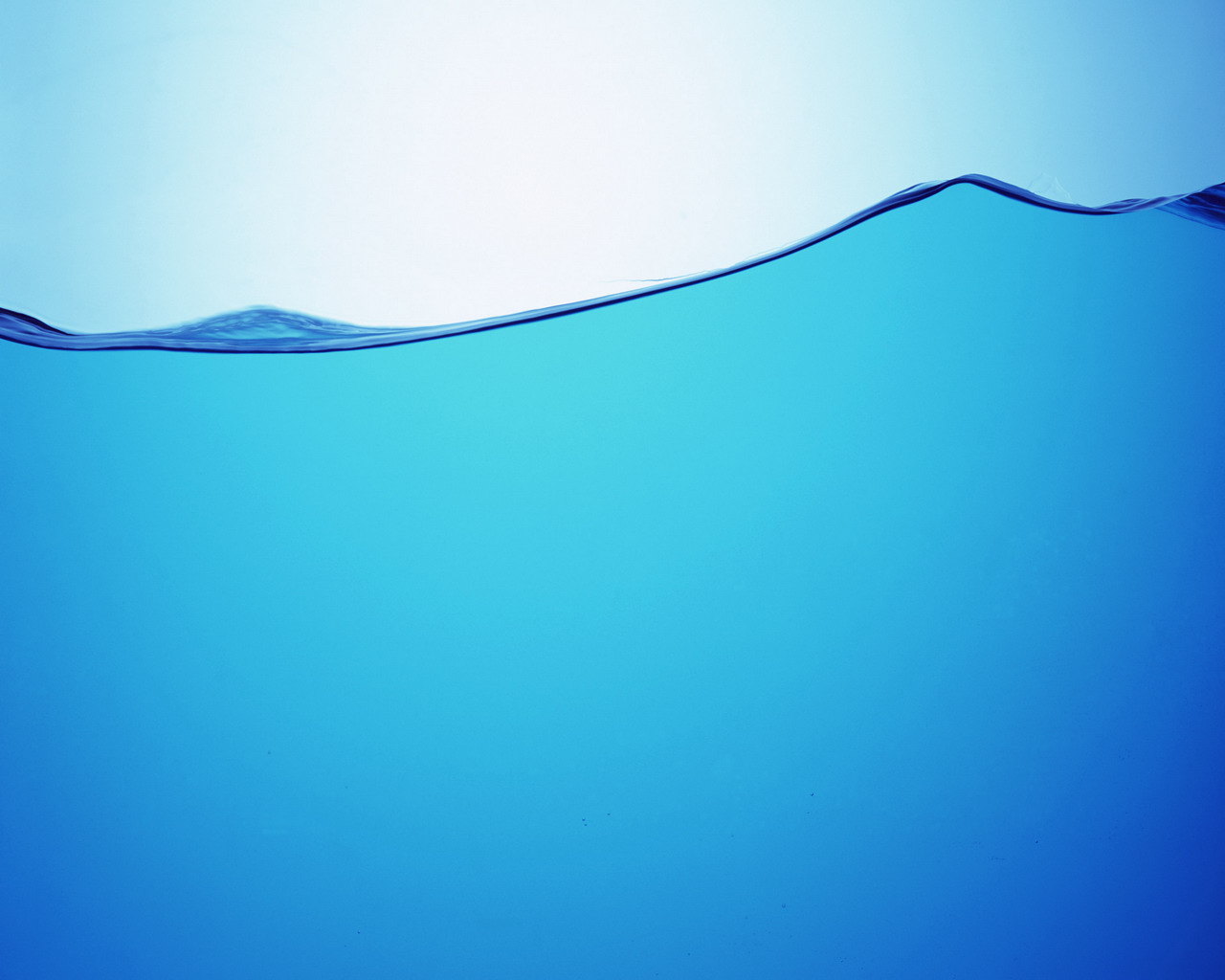 wave.jpg